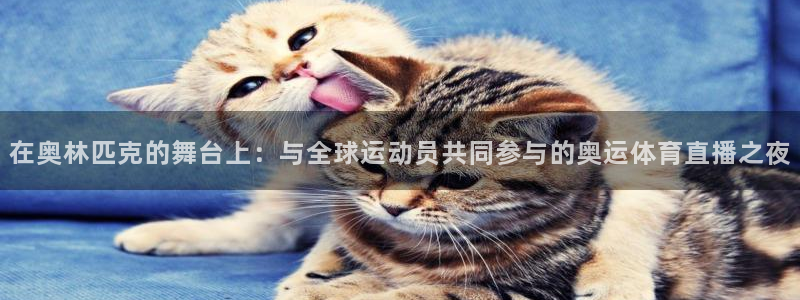 袋鼠直播nba免费观看足球：在奥林匹克的舞台上：与全球运动员共同参与的奥运体育直播之夜