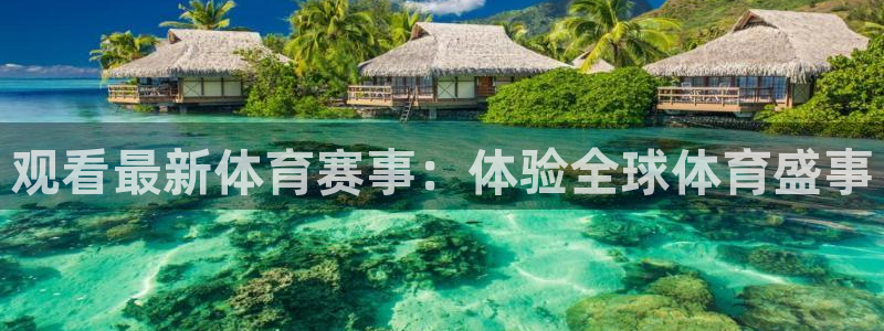 袋鼠足球免费直播：观看最新体育赛事：体验全球体育盛事