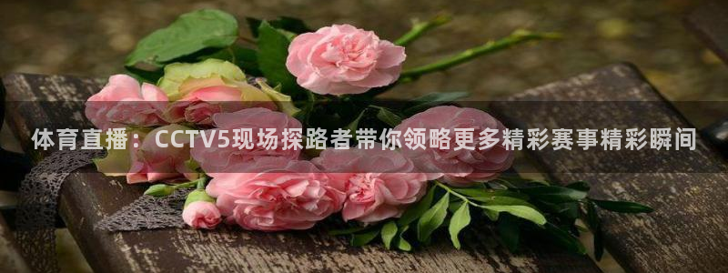 袋鼠在线直播体育：体育直播：CCTV5现场探路者带你领略更多精彩赛事精彩瞬间