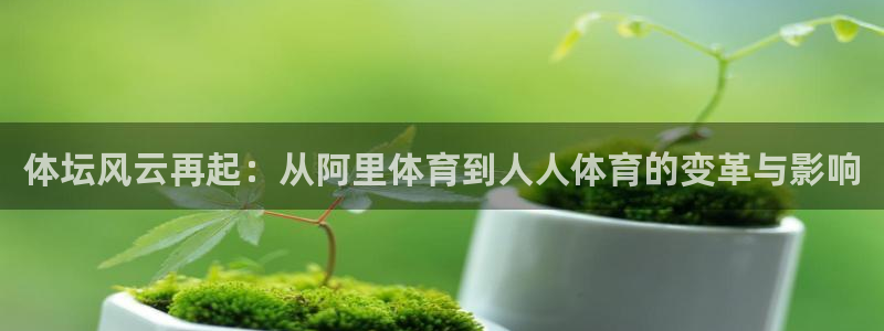 nba袋鼠直播在线观看：体坛风云再起：从阿里体育到人人体育的变革与影响