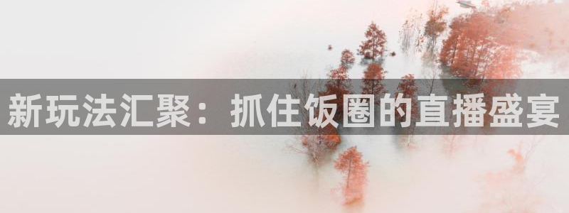 袋鼠直播在线播放：新玩法汇聚：抓住饭圈的直播盛宴