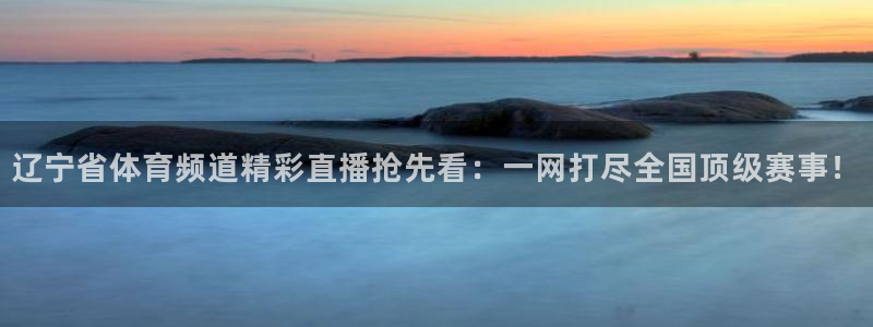 袋鼠直播体育在线观看：辽宁省体育频道精彩直播抢先看：一网打尽全国顶级赛事！