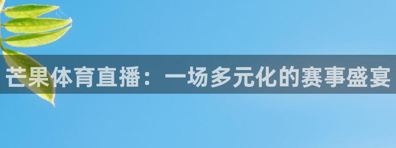 袋鼠直播体育直播入口：芒果体育直播：一场多元化的赛事盛宴