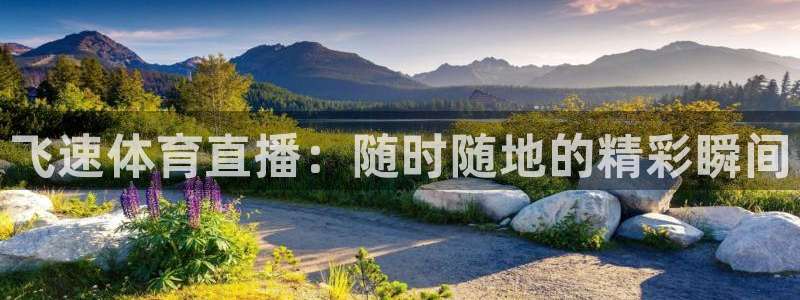 袋鼠在线直播体育：飞速体育直播：随时随地的精彩瞬间
